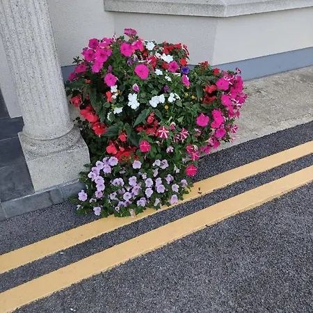 Ma Dwyer's Guest Vendégház 3*