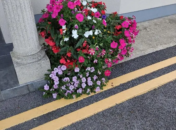 Ma Dwyer's Guest Gæstehus 3*