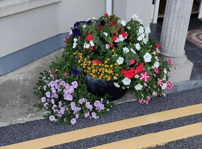 Ma Dwyer's Guest Gæstehus