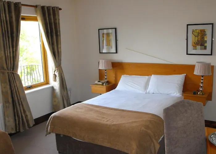 Ma Dwyer's Guest Gæstehus Navan