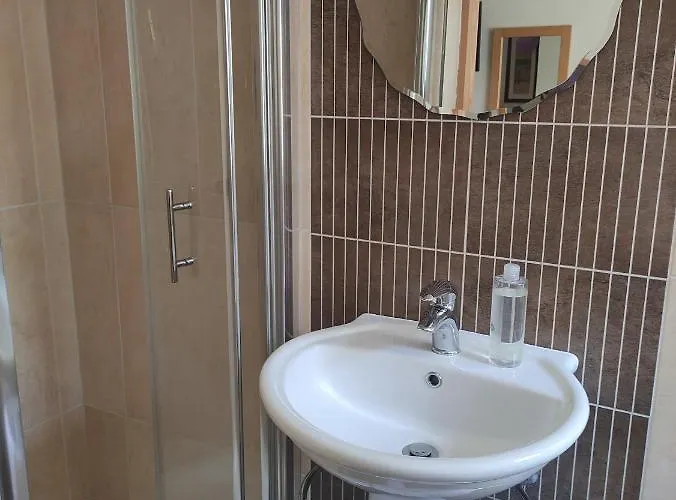 Gæstehus Ma Dwyer's Guest Navan