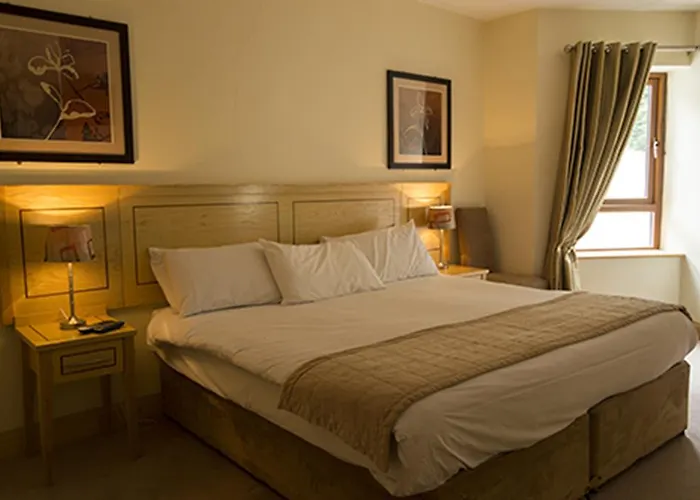 Ma Dwyer's Guest Navan